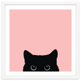 Black cat thumbnail