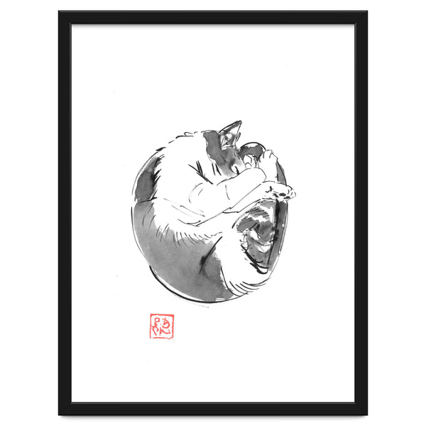 Round Cat