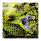 Green Viper Reptile (Print Only) thumbnail