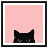 Black cat thumbnail