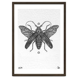 Riesen Longhorn Käfer thumbnail