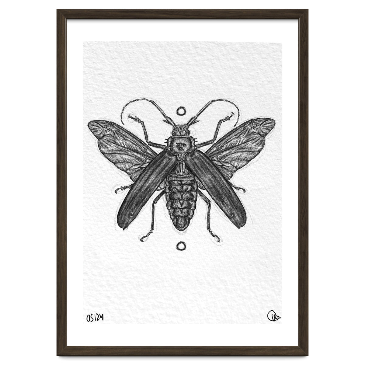 Riesen Longhorn Käfer