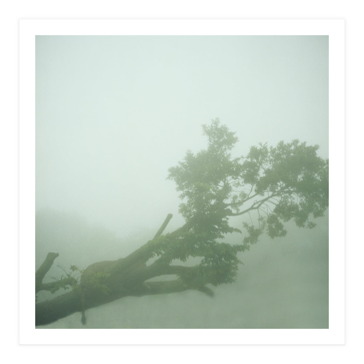 Silence of breath - 07 (Print Only)