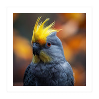 Close-up Portrait of a Yellow Cockatoo in the Wild. (Print Only)