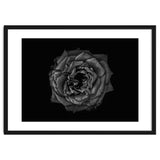Backyard Flowers In Black And White No 110 thumbnail