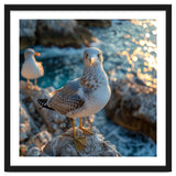 Seagull Standing On Rocks Near Water thumbnail