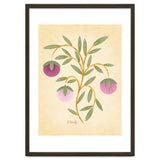 Vintage Fruits thumbnail