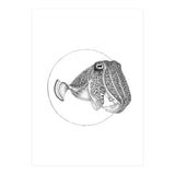 The Fascinating Cuttlefish (Print Only) thumbnail