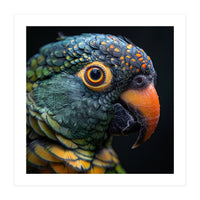 Close Up Of A Colorful Parrot's Face (Print Only)