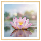 Ethereal Lotus Bloom: Serene Botanical Reflection thumbnail