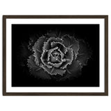 Backyard Flowers In Black And White No 101 thumbnail