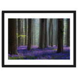 Bluebell forest thumbnail