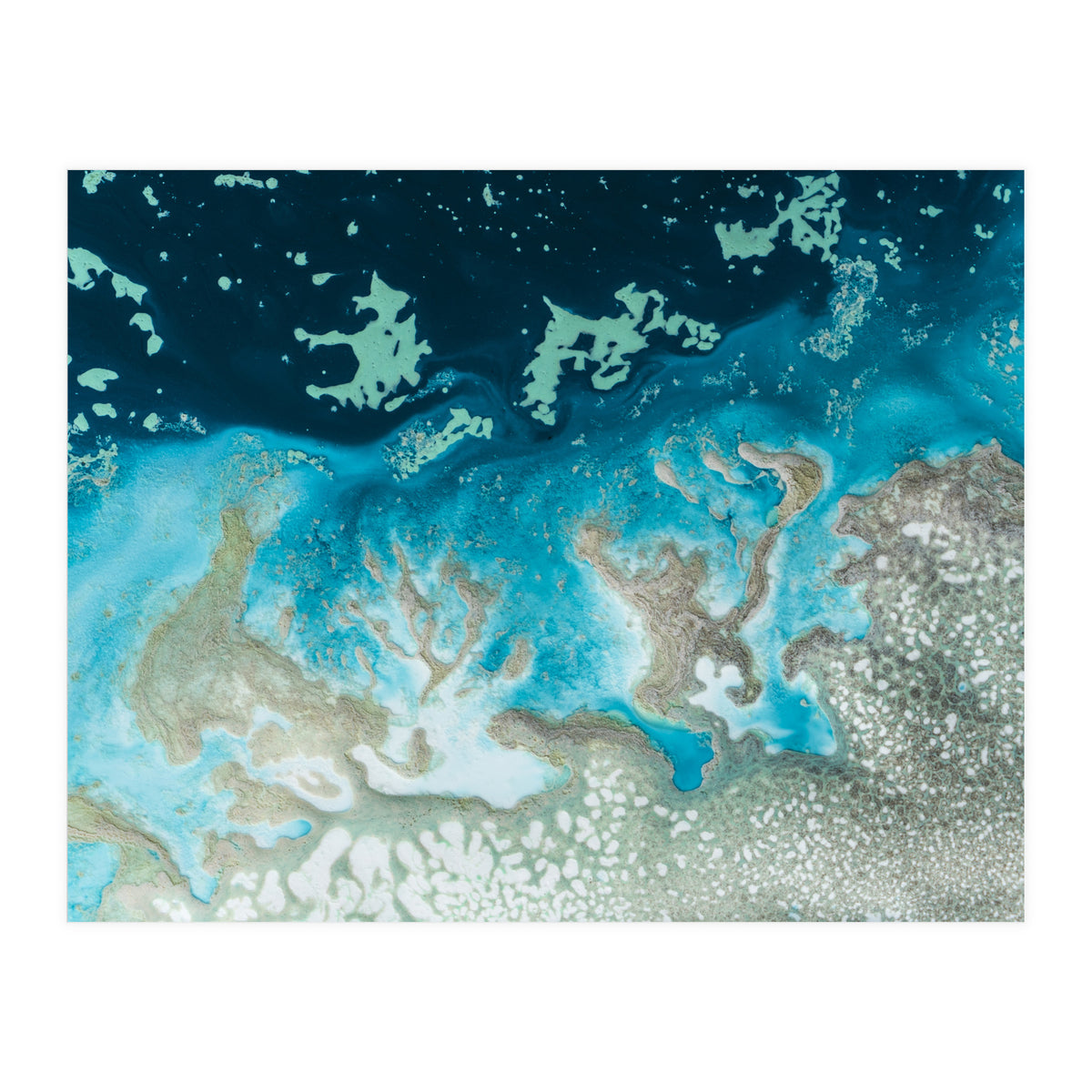 The Oasis (Print Only)