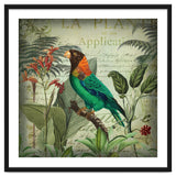 Tropical Bird Nostalgia thumbnail