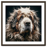 Old Dog 01 thumbnail