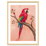 Red Macaw Parrot Bird Forest thumbnail