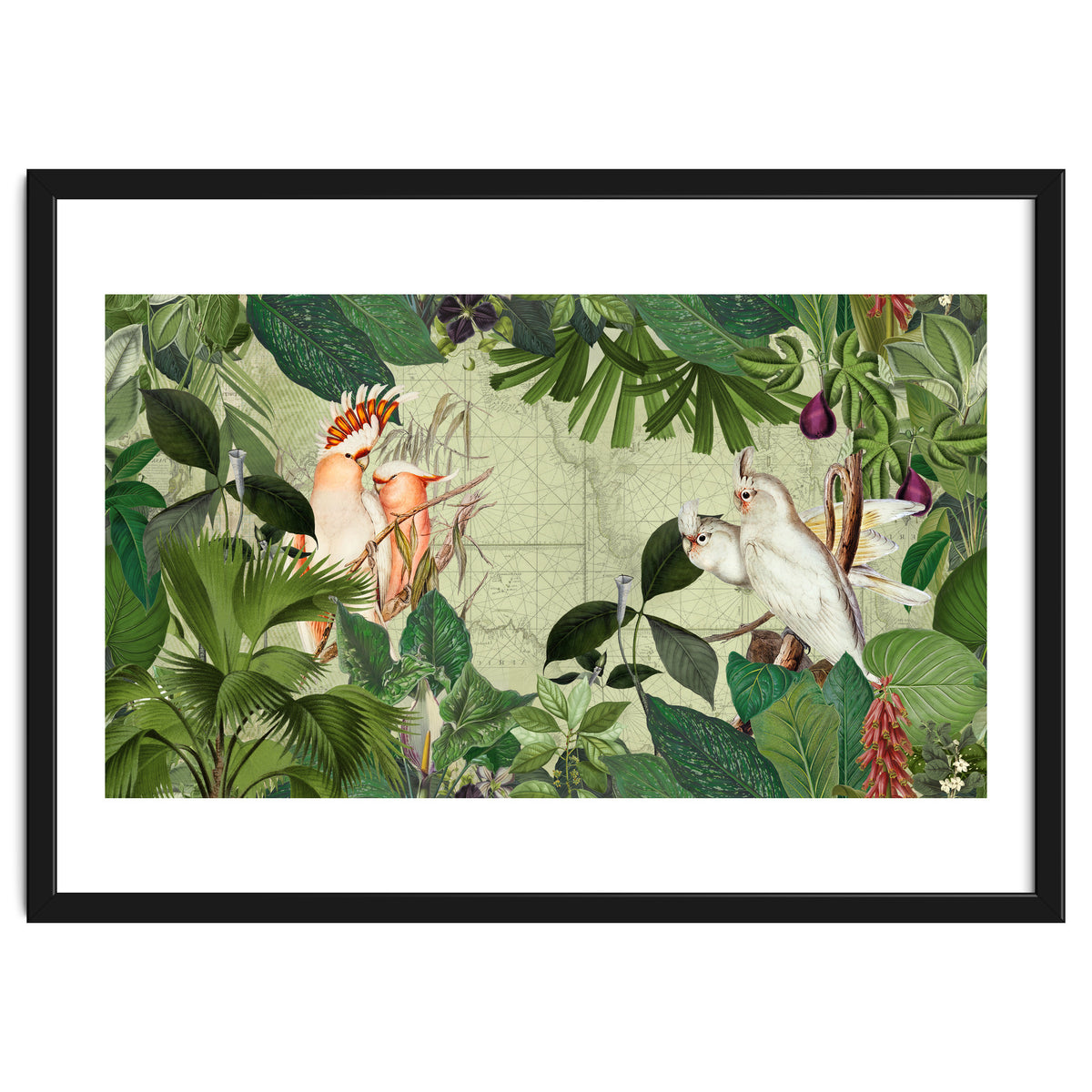 Cockatoo Island Green