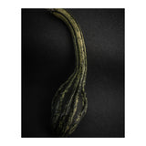 Gourds No 9 Color Version (Print Only) thumbnail