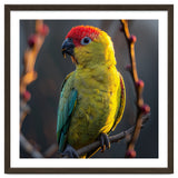 Close Up Of A Colorful Jenday Conure thumbnail