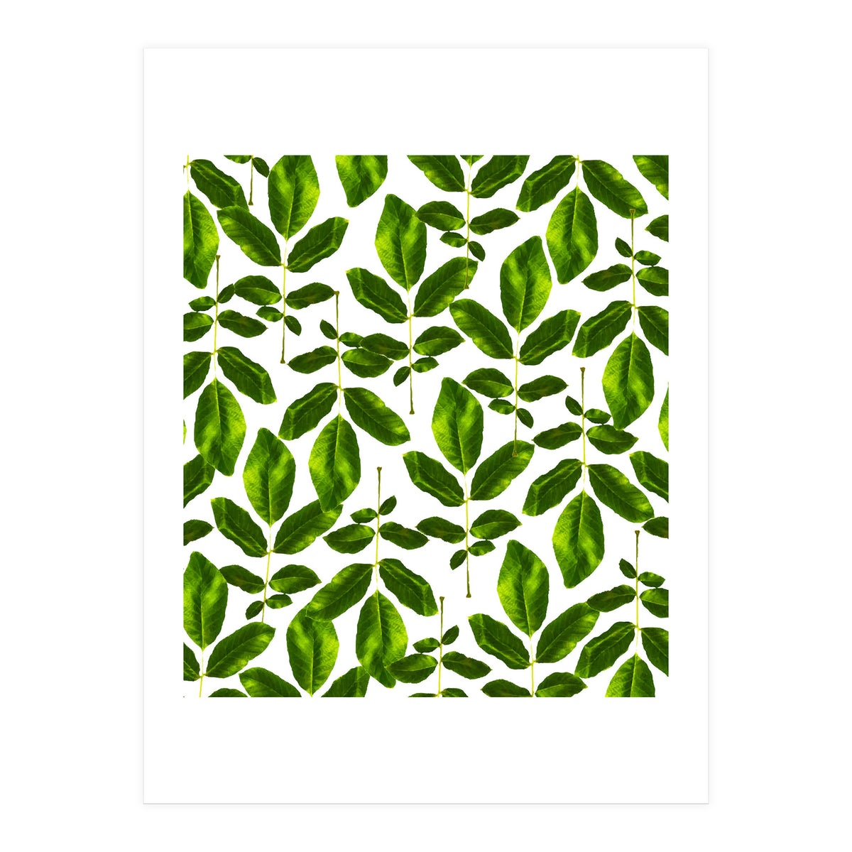 Natural Cure #society6 #decor #buyart (Print Only)