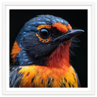 Vibrant Bird With Orange And Blue Plumage