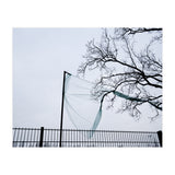 Net caught in a tree (Print Only) thumbnail