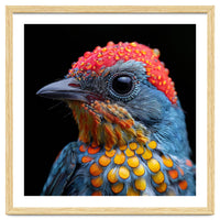 Close Up Of Colorful Bird With Water Droplets
