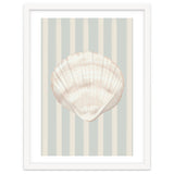 Sea shell thumbnail
