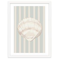 Sea shell
