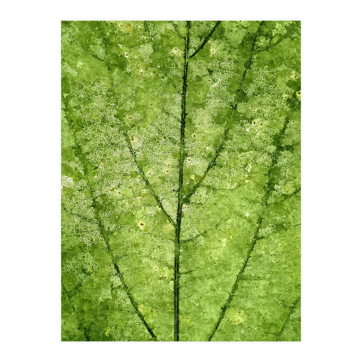 Nature Veins (Print Only)