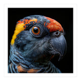 Close Up Of A Colorful Parrot Bird's Head (Print Only) thumbnail
