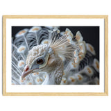 Close Up Albino Peacock Bird Portrait thumbnail