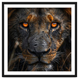 Majestic Lion Face Intense Orange Eyes Close Up thumbnail
