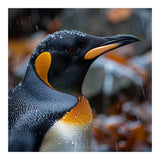 King Penguin In Rain With Water Drops (Print Only) thumbnail