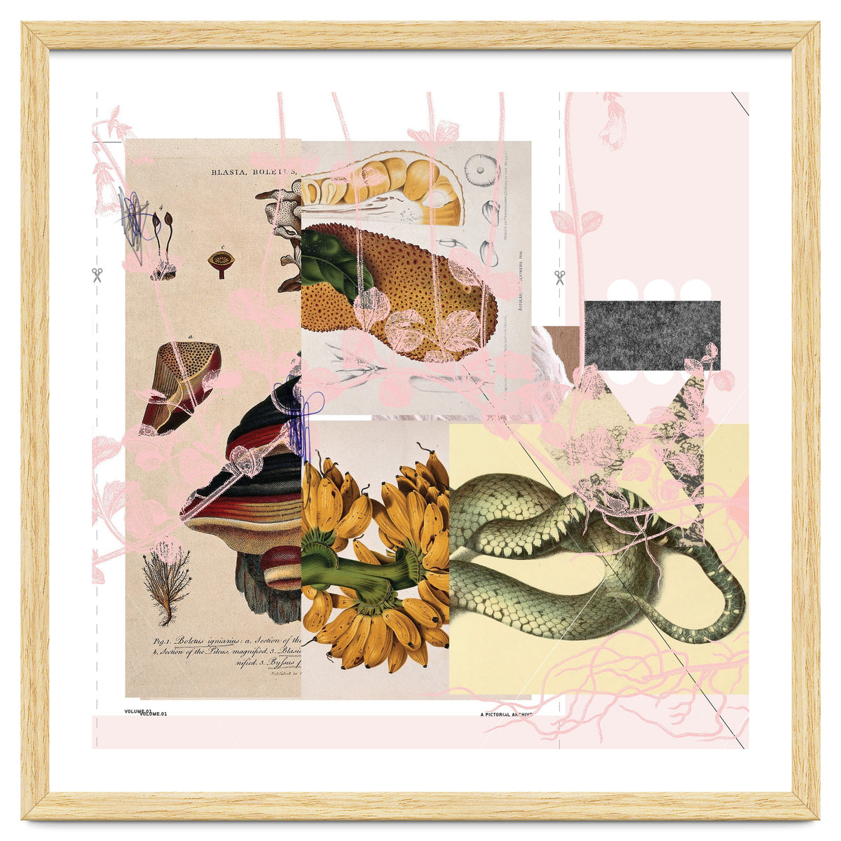 Abstract White Daydream Flower