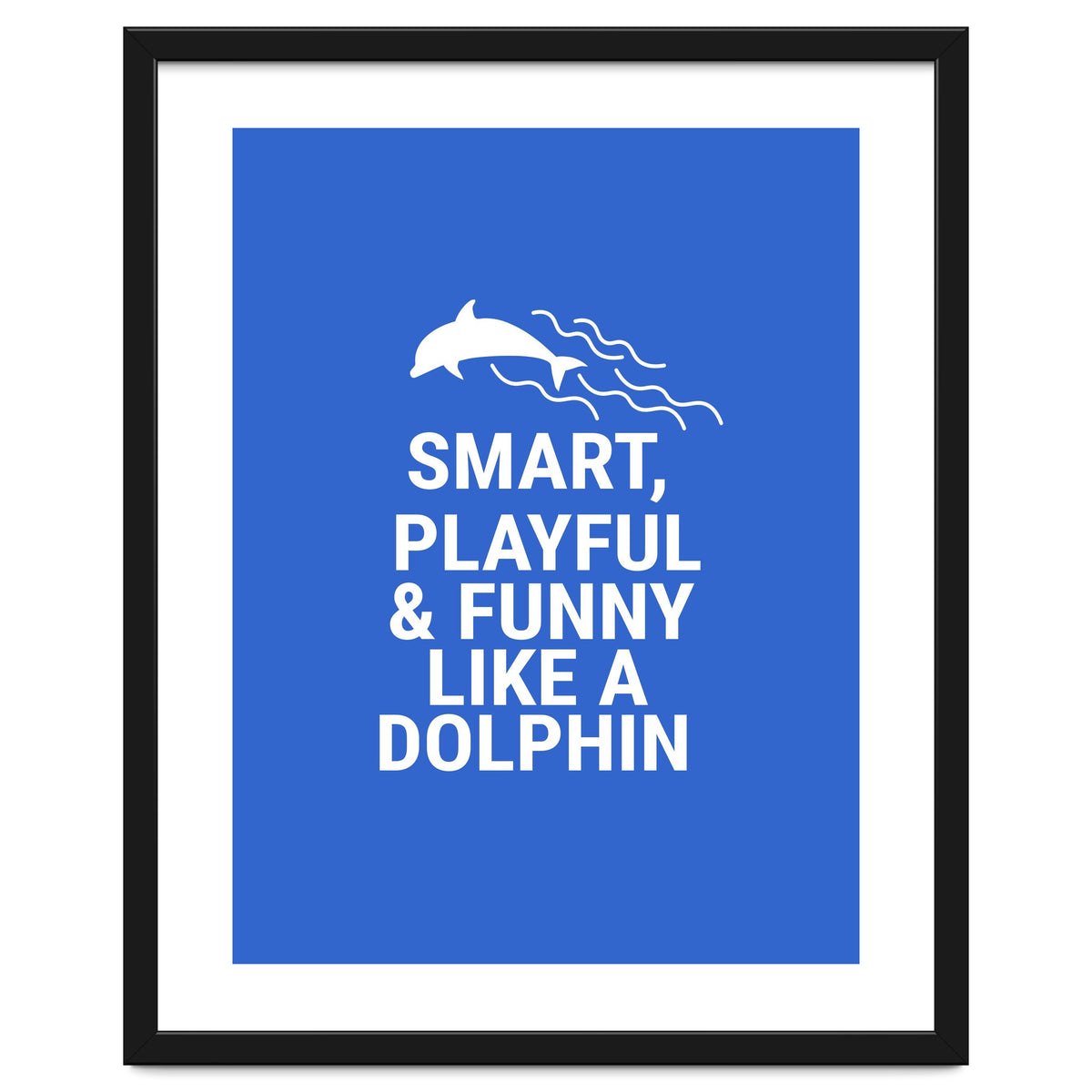 Smart, playful and funny like a dolphin