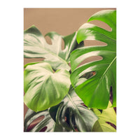 Monstera Mix (Print Only)