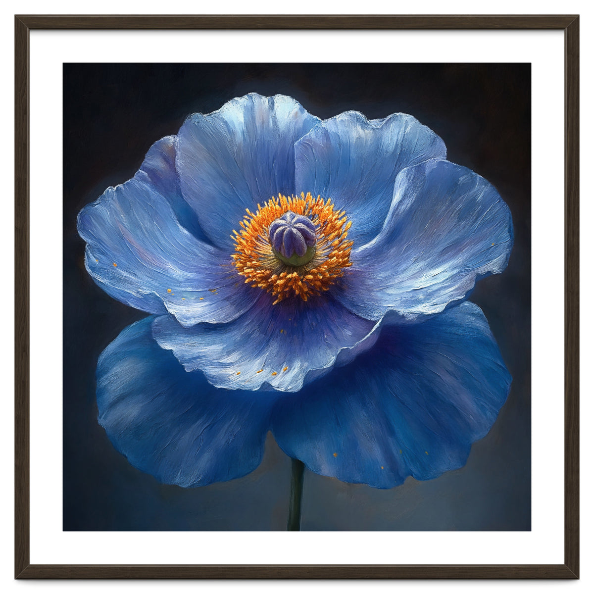 Meconopsis | Sapphire Serenade