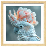 Close Up Of A White Cockatoo With Pink Crest thumbnail