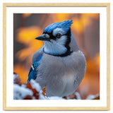 Blue Jay Bird In Winter Snowfall And Leaves thumbnail
