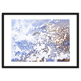 Coral Blooming thumbnail