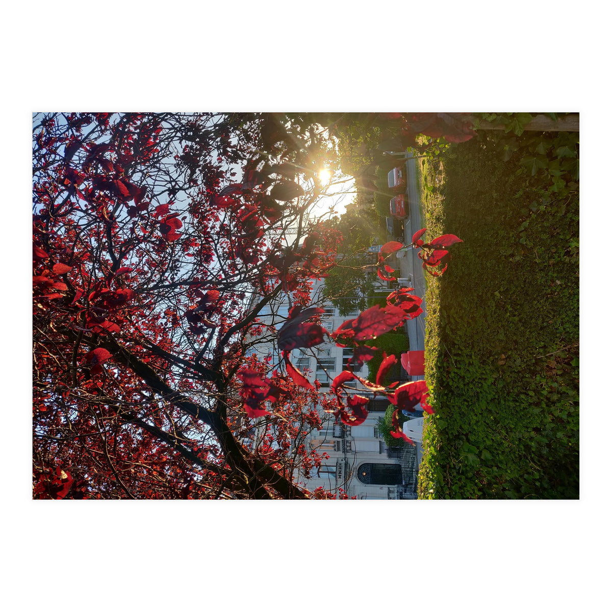 Autumn’s Embrace (Print Only)