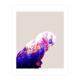 Macaw (Print Only) thumbnail