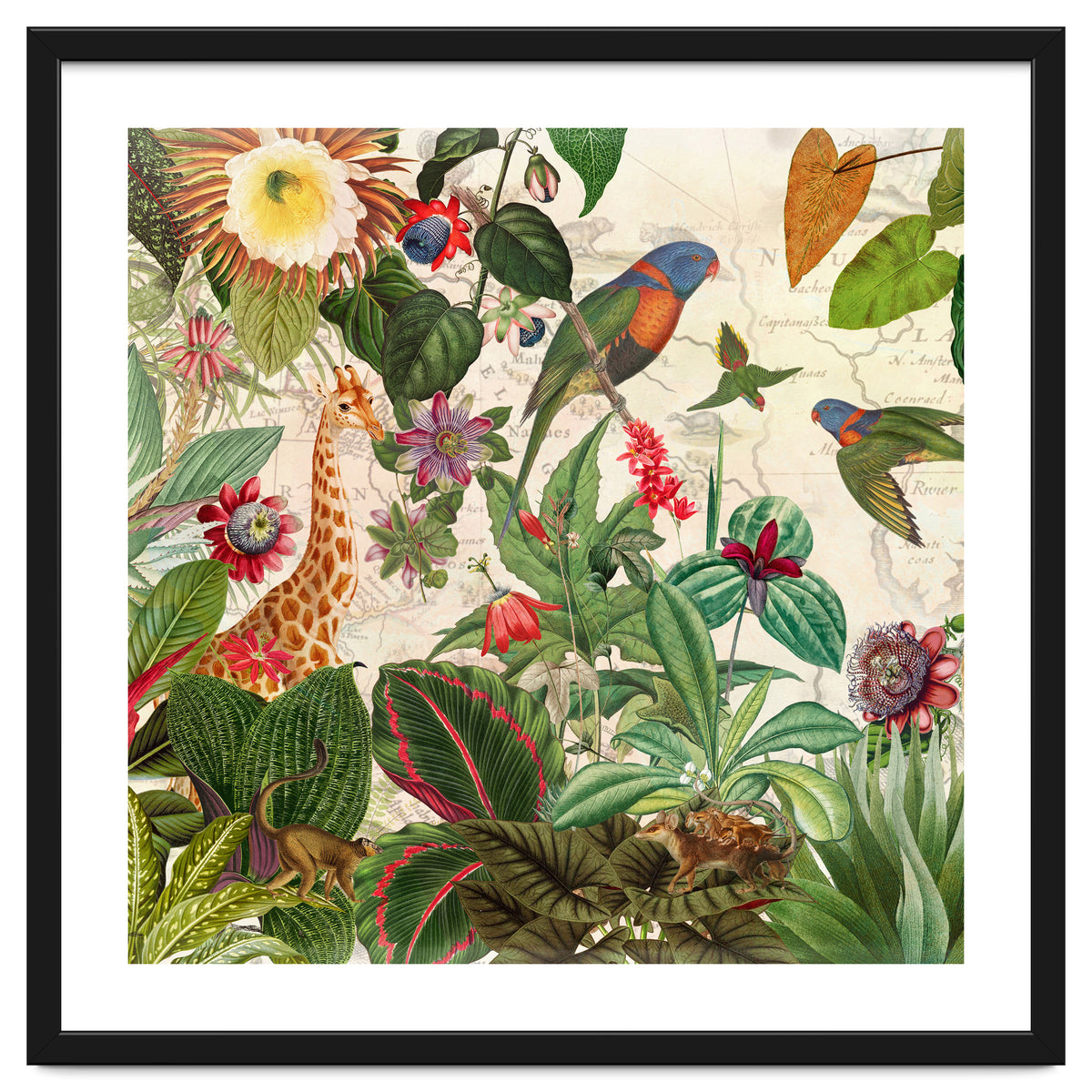 Exotic Lush Jungle And Wild Animals Landscape