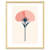 Pink Half Poppy thumbnail