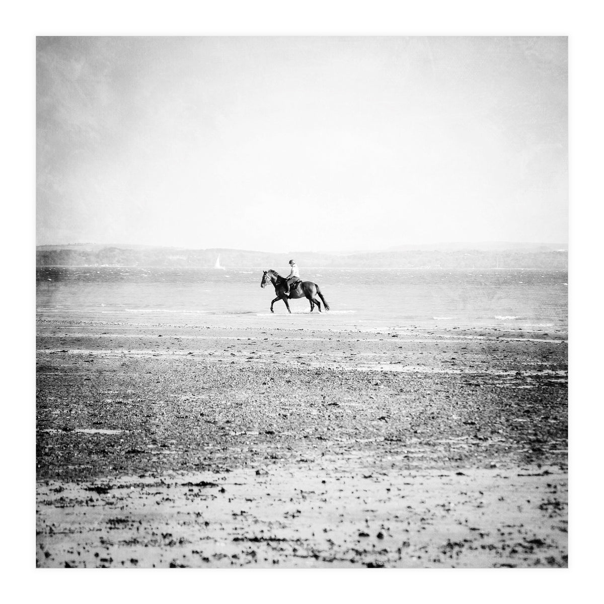 Sea Horse (Print Only)