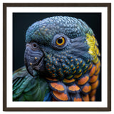Close Up Portrait Of A Colorful Parrot's Face thumbnail