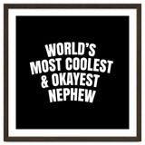 World's most coolest and okayest nephew thumbnail