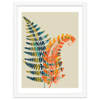 Colorful Fern Leaves