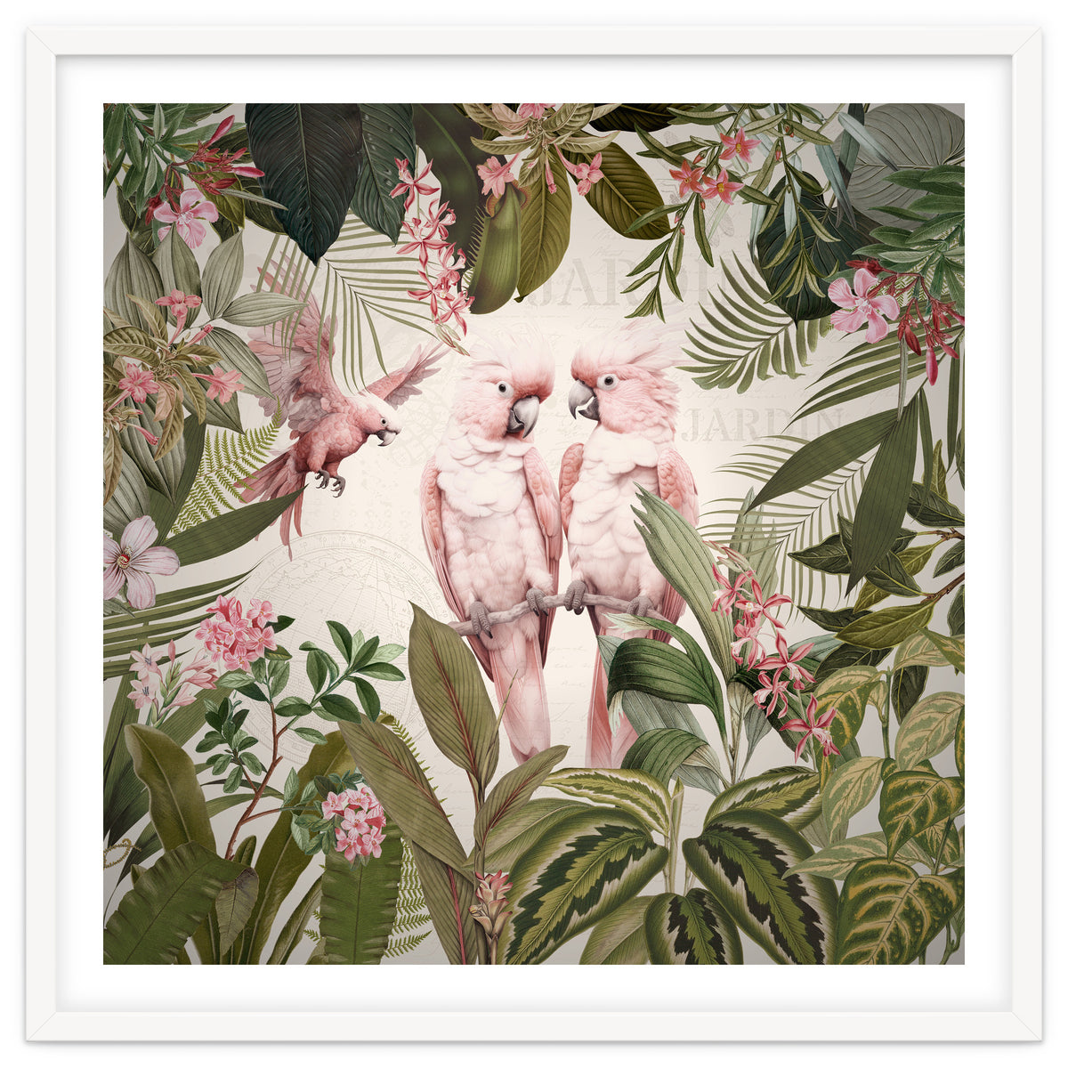 Pink Parrots Exotic Rainforest